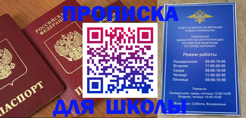 прописка ребенка в Сольцах